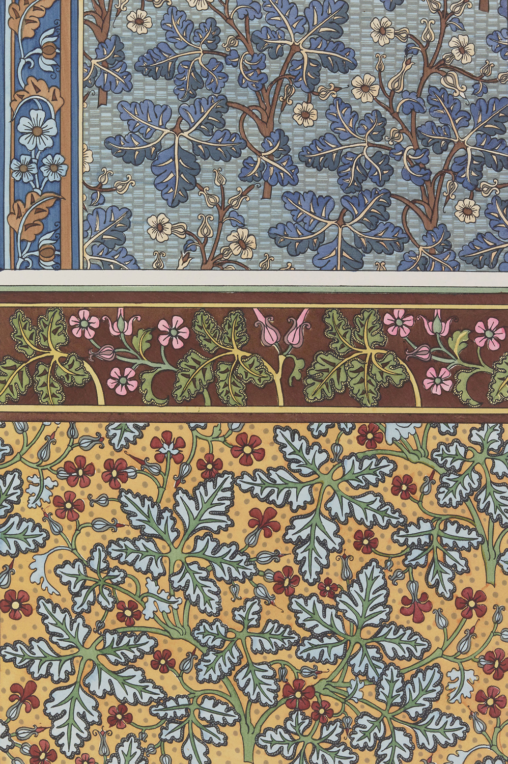 Geranium - The Plant and its Ornamental Applications, 1896