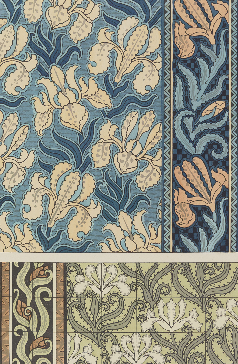 Iris - The Plant and its Ornamental Applications, 1896