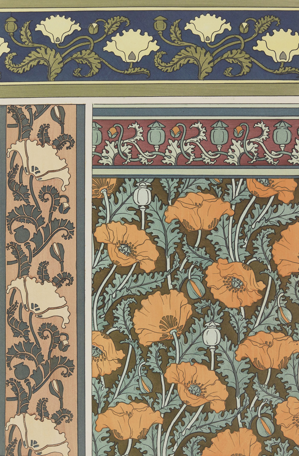 Poppy - The Plant and its Ornamental Applications, 1896