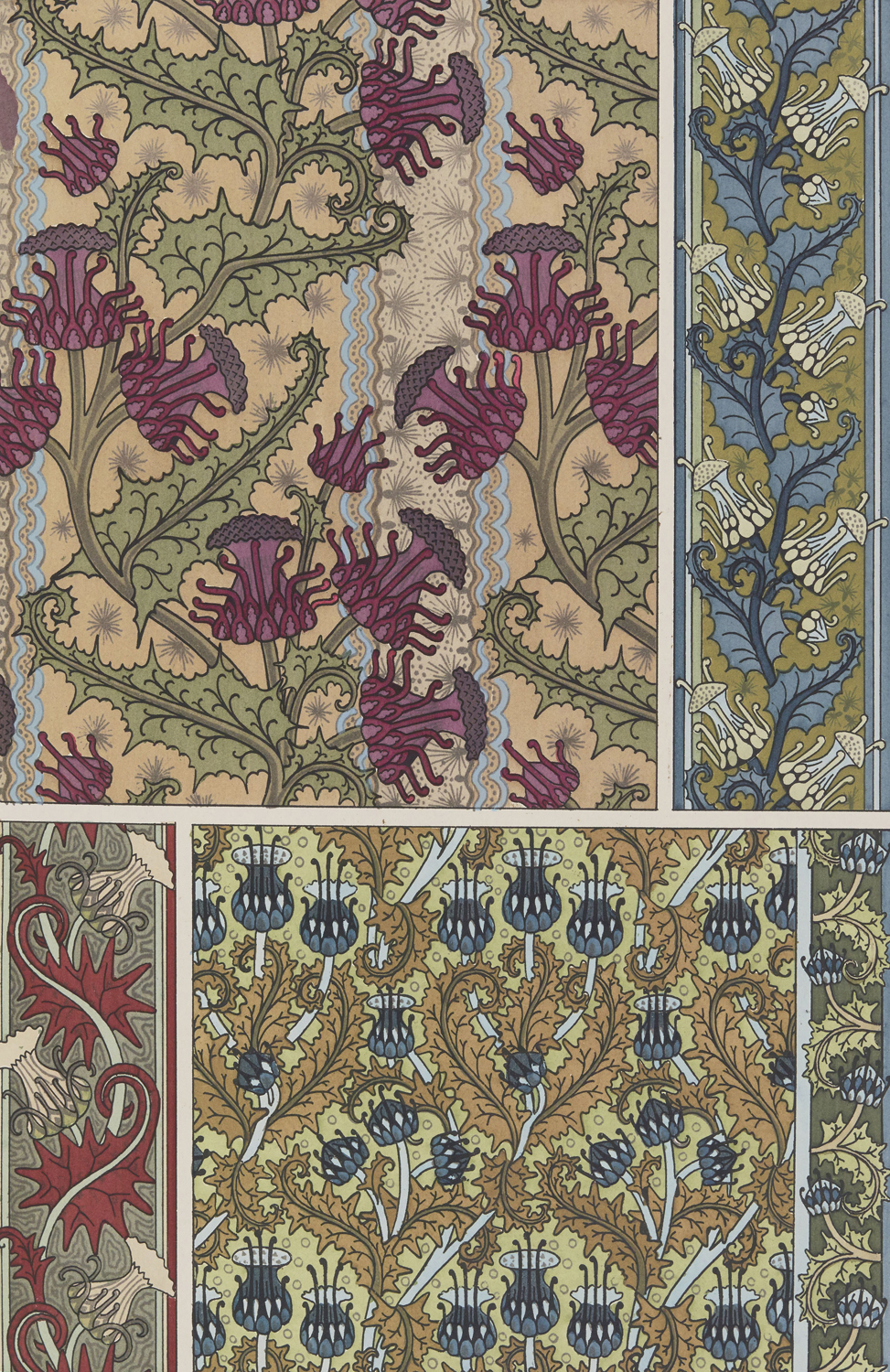 Thistle - The Plant and its Ornamental Applications, 1896