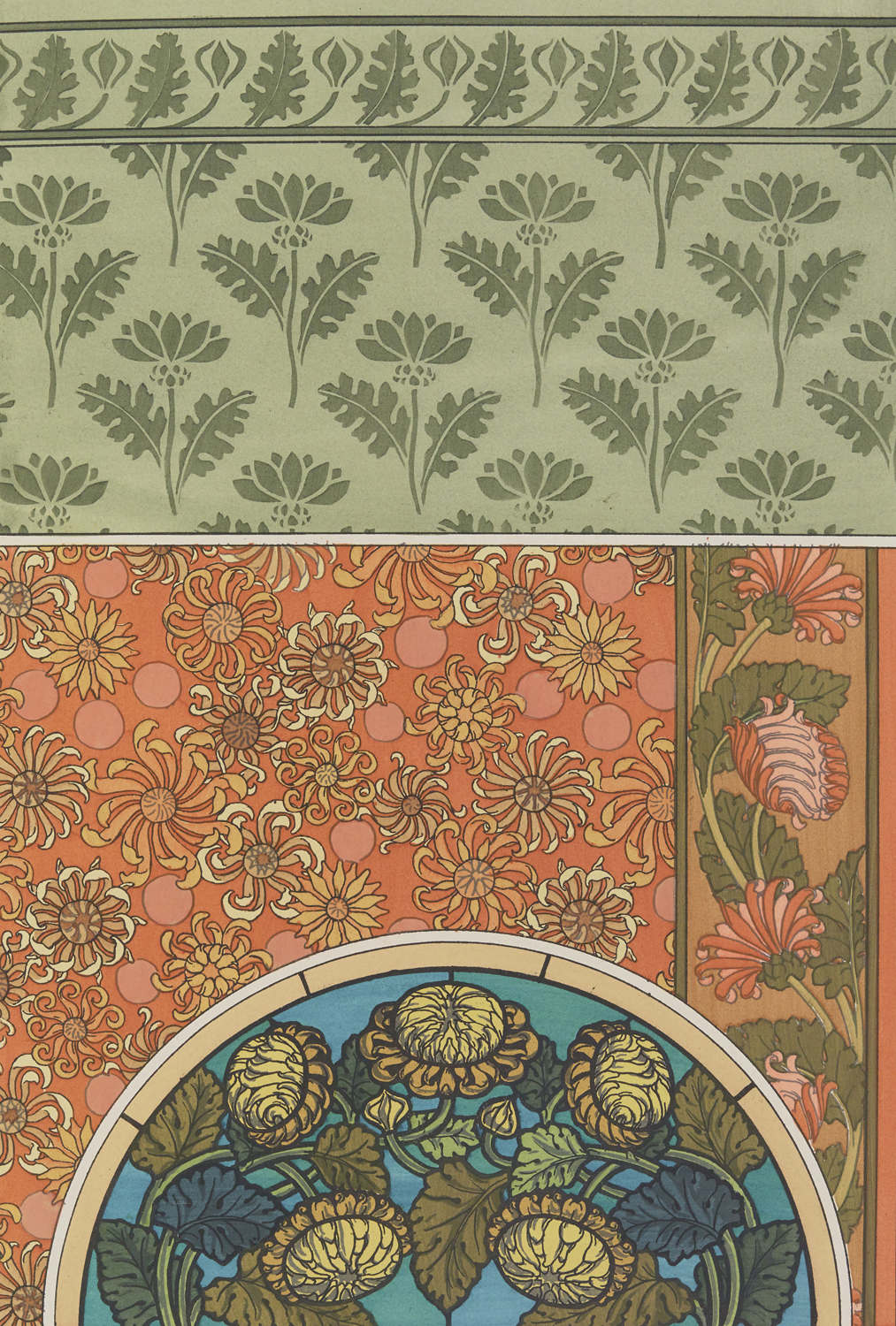 Chrysanthemum - The Plant and its Ornamental Applications, 1896