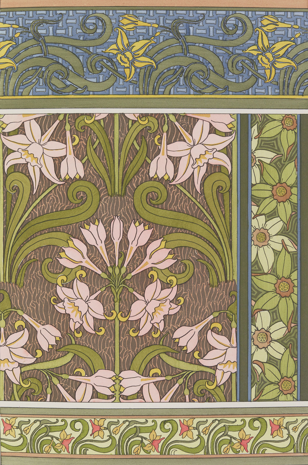 Jonquil - The Plant and its Ornamental Applications, 1896