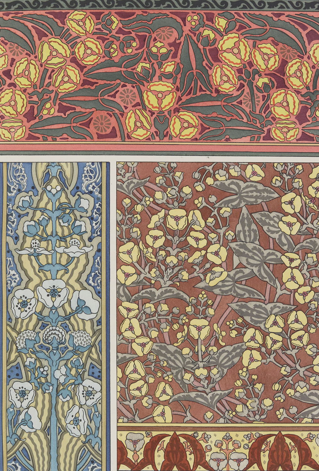 Arrowhead - The Plant and its Ornamental Applications, 1896