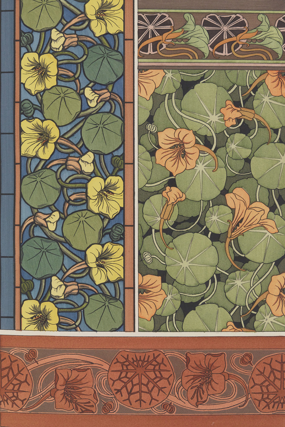 Nasturtium - The Plant and its Ornamental Applications, 1896