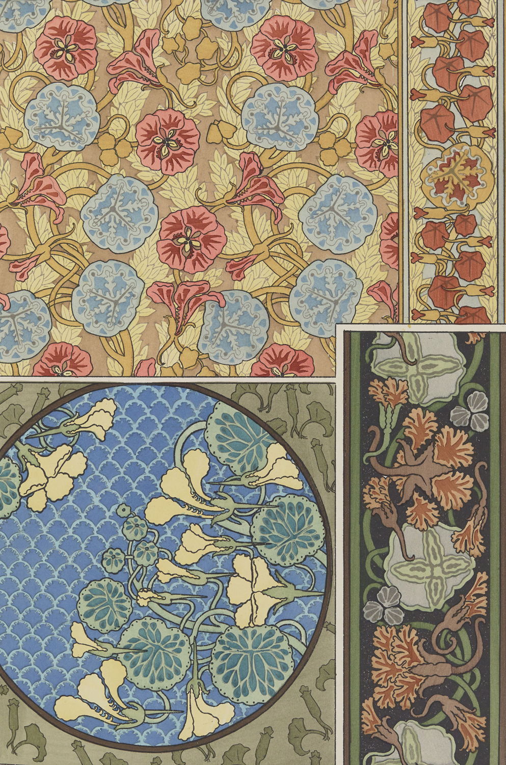 Nasturtium - The Plant and its Ornamental Applications, 1896
