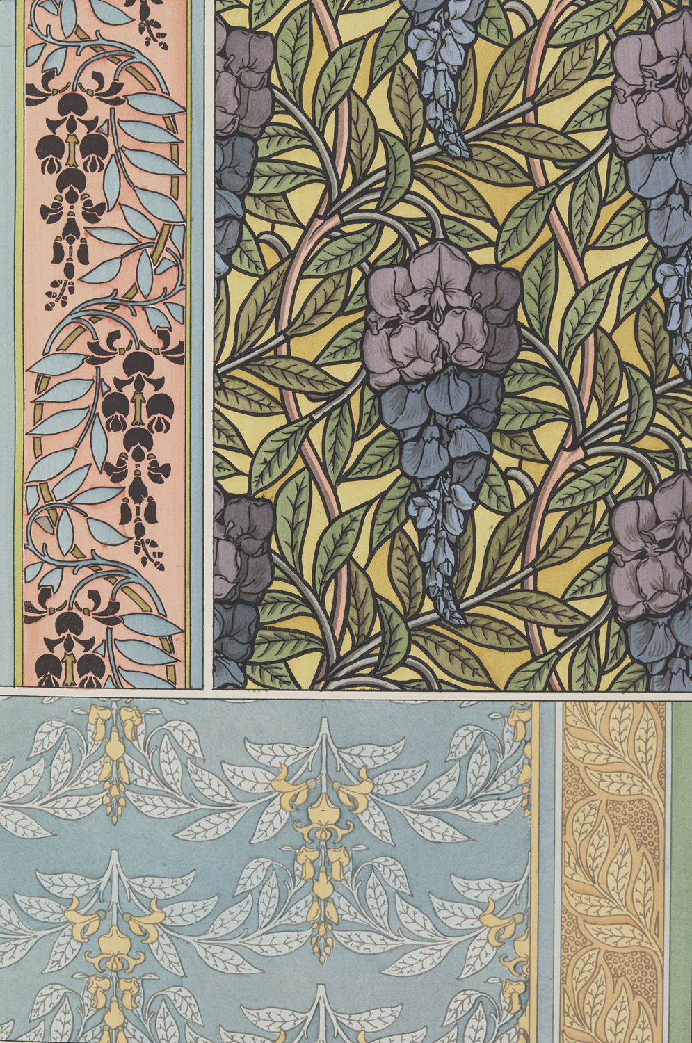 Glycine - The Plant and its Ornamental Applications, 1896