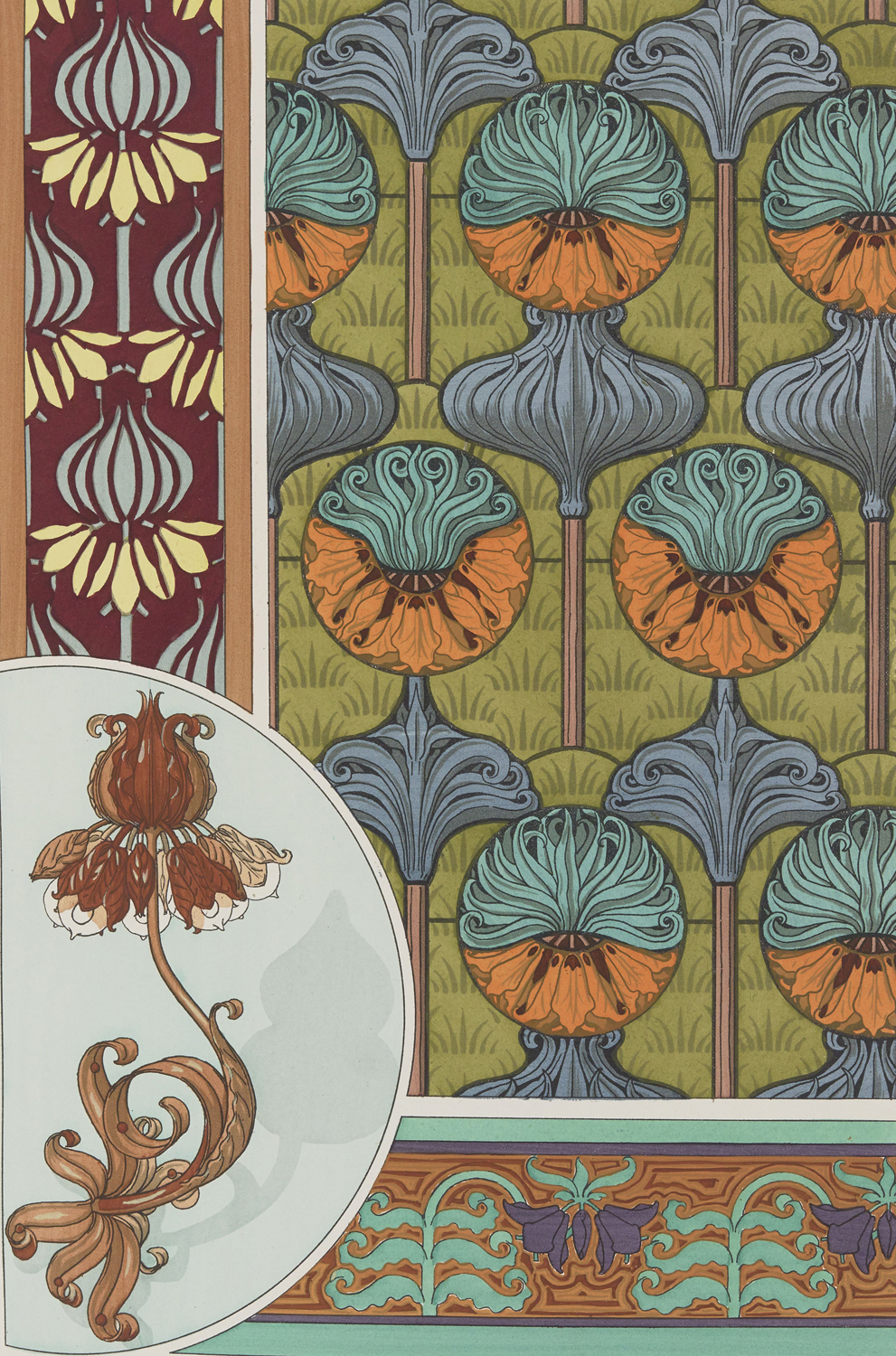 Crown Imperial - The Plant and its Ornamental Applications, 1896