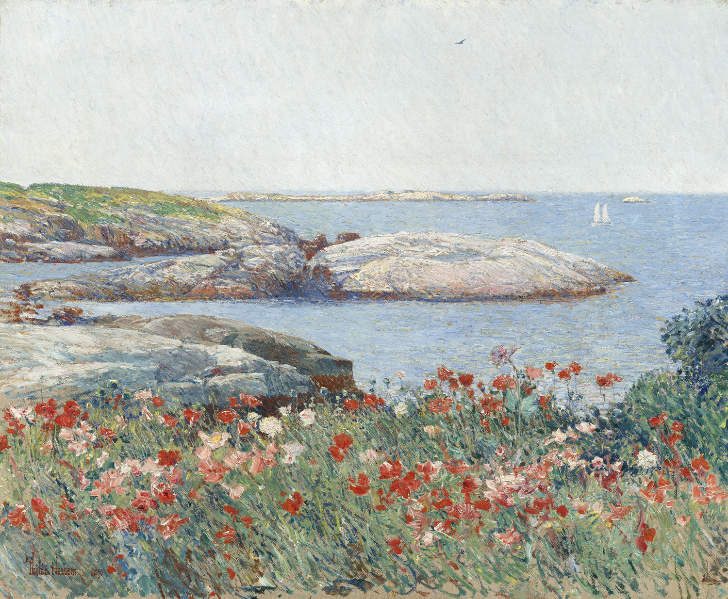 Poppies, Isles of Shoals, 1891
