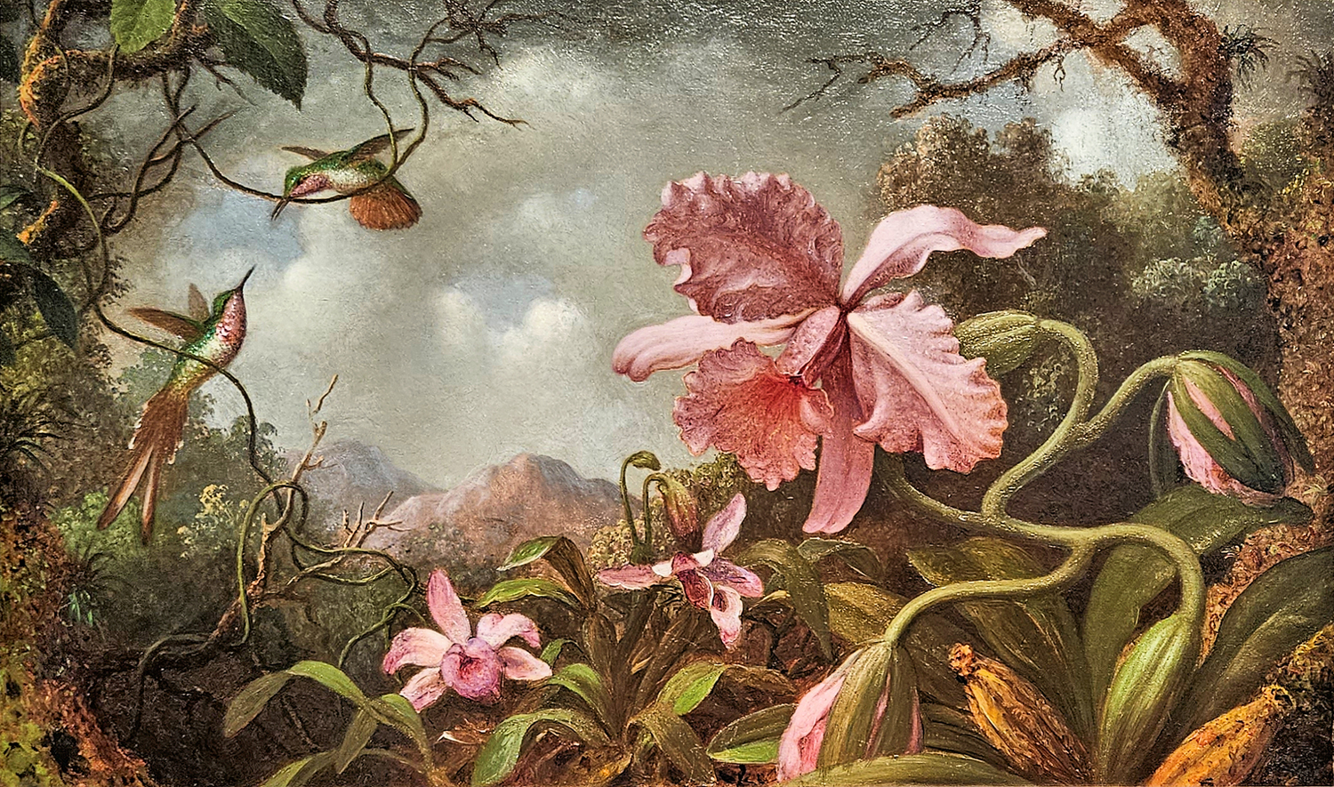Hummingbirds and Orchids, c. 1875-90