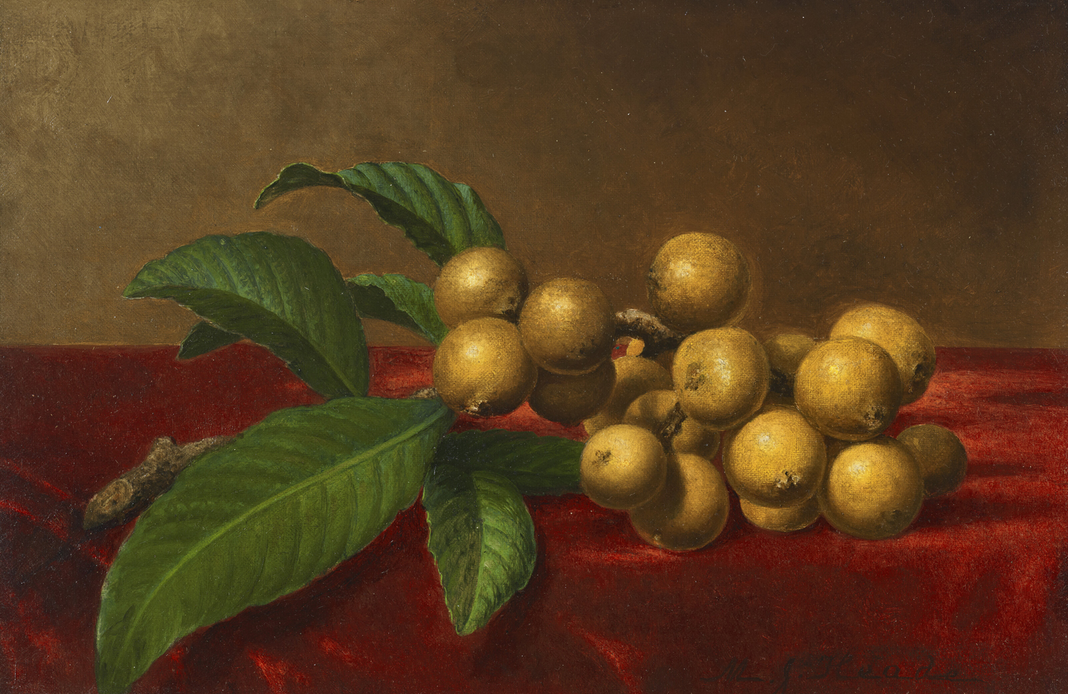 Loquats on Red Velvet, late 19th century
