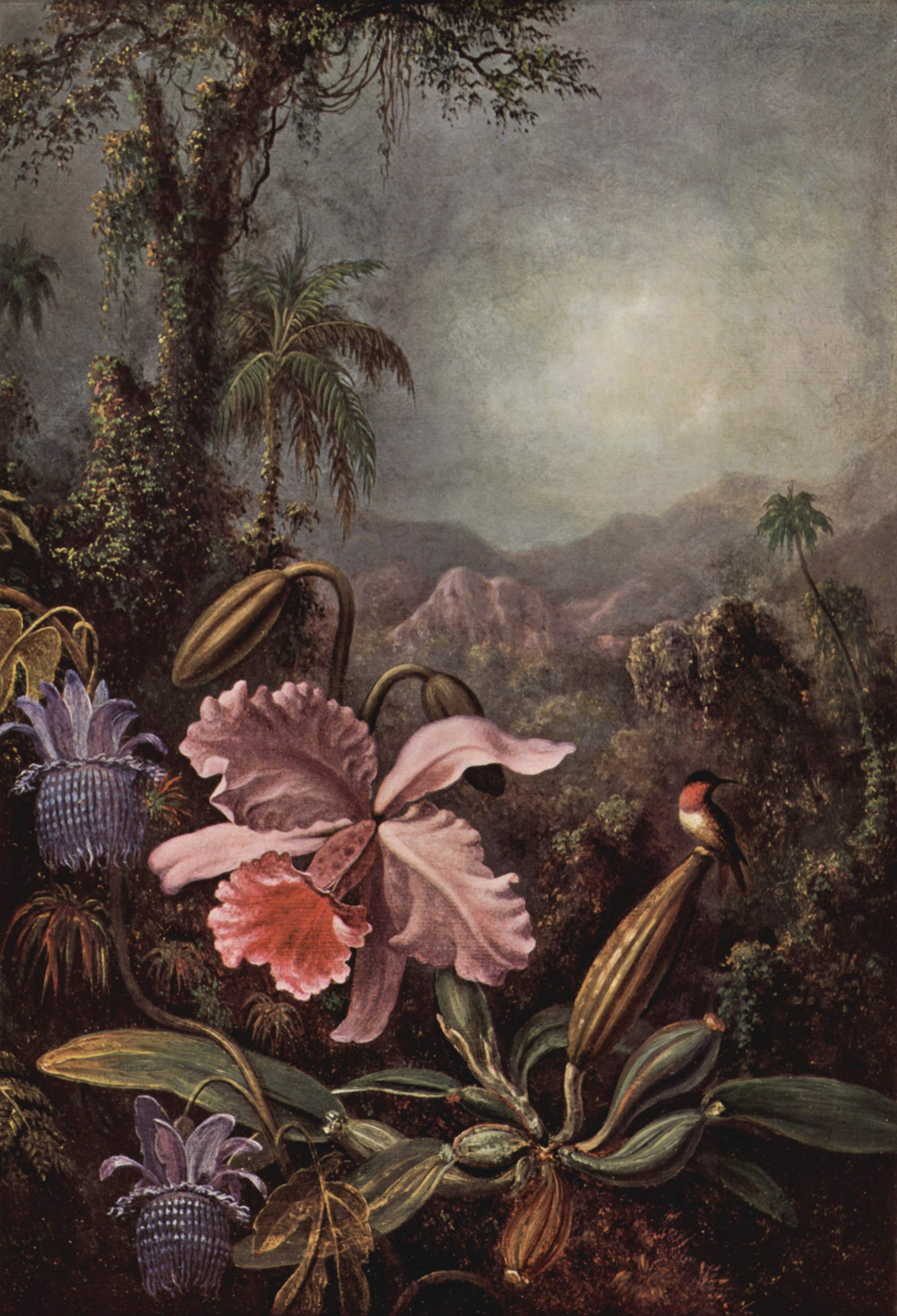 Orchids, Passion Flowers and Hummingbirds, 1880