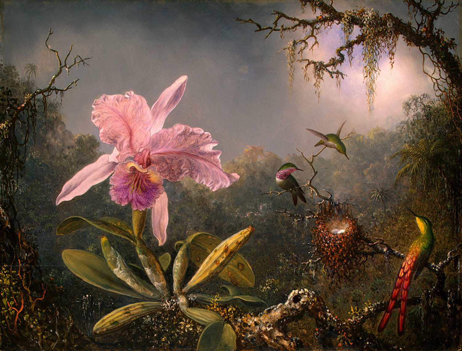 Orchid and Three Brazilian Hummingbirds, 1871