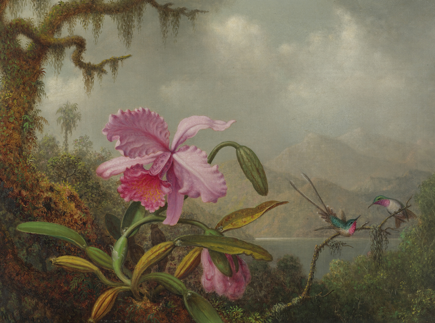 Orchid and Hummingbirds, c. 1875-90