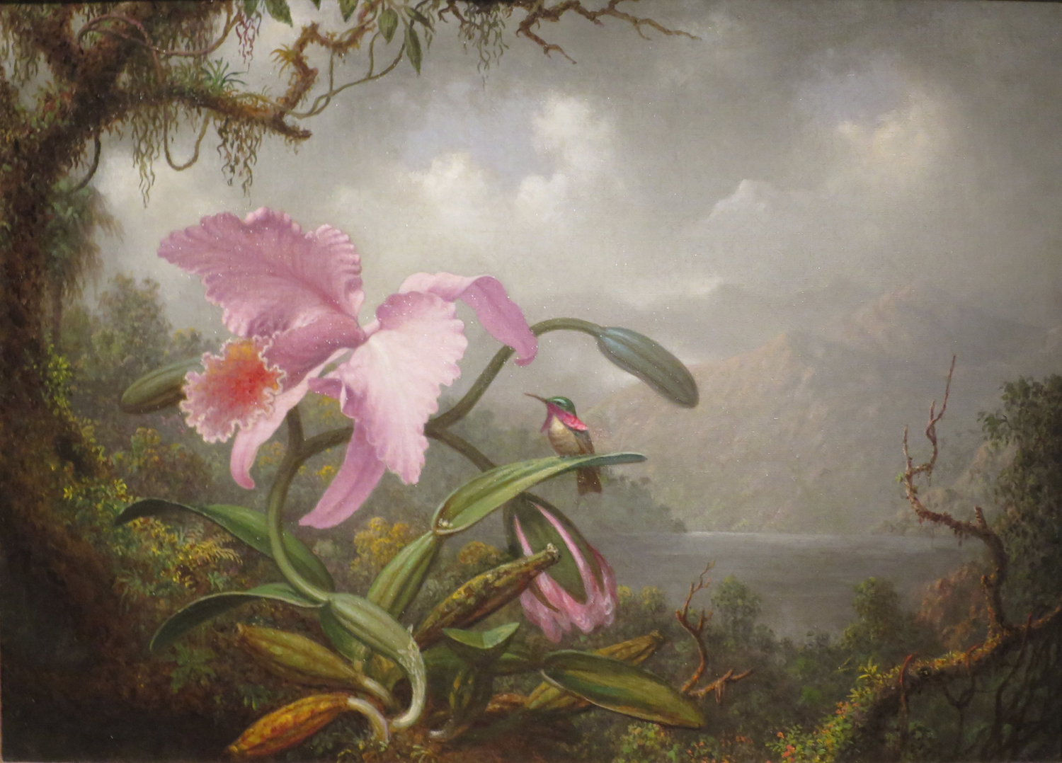 Orchid and Hummingbird, c. 1885