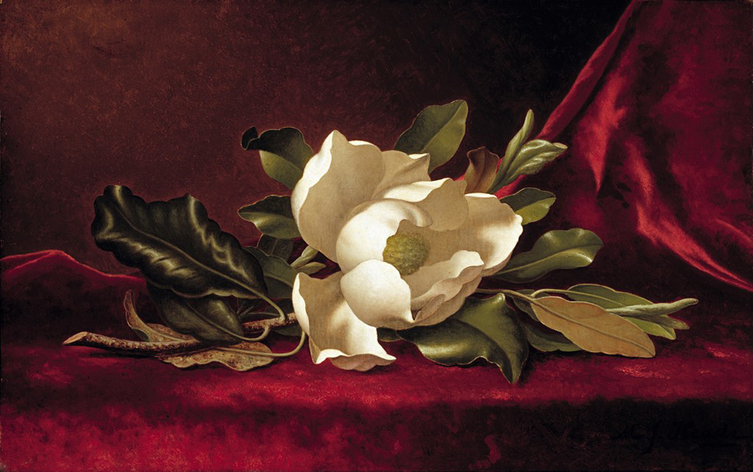 The Magnolia Blossom, 1888