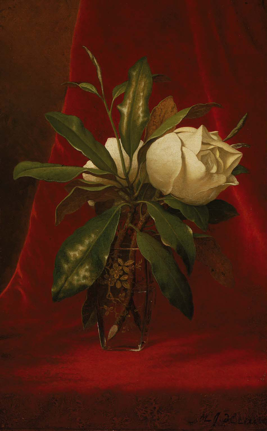 Magnolia, late 19th century