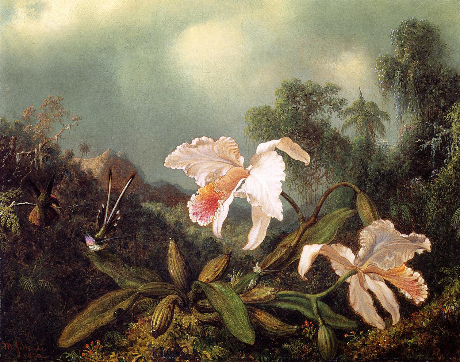 Jungle Orchids and Hummingbirds, late 19th century