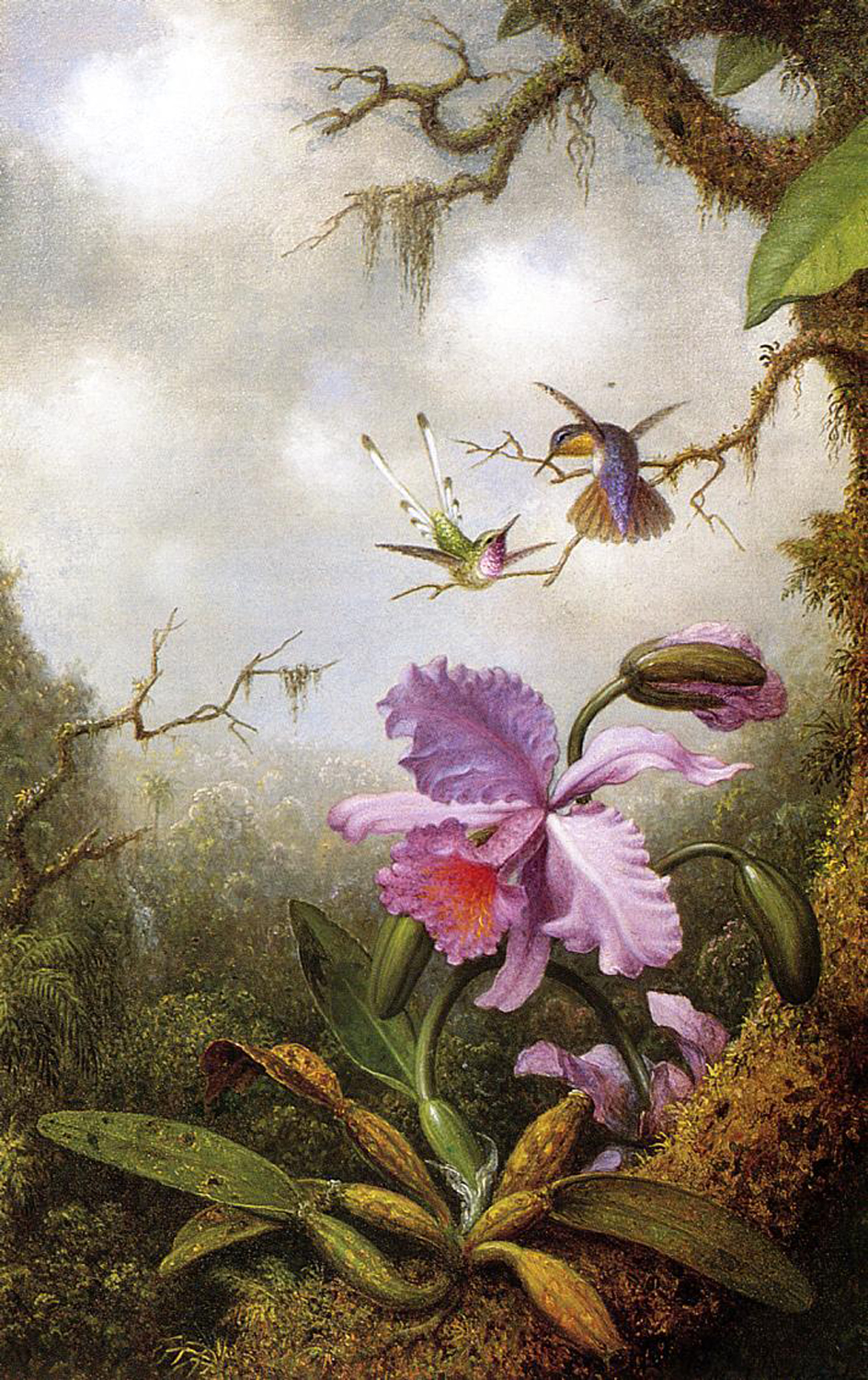 Two Hummingbirds and a Pink Orchid, late 19th century