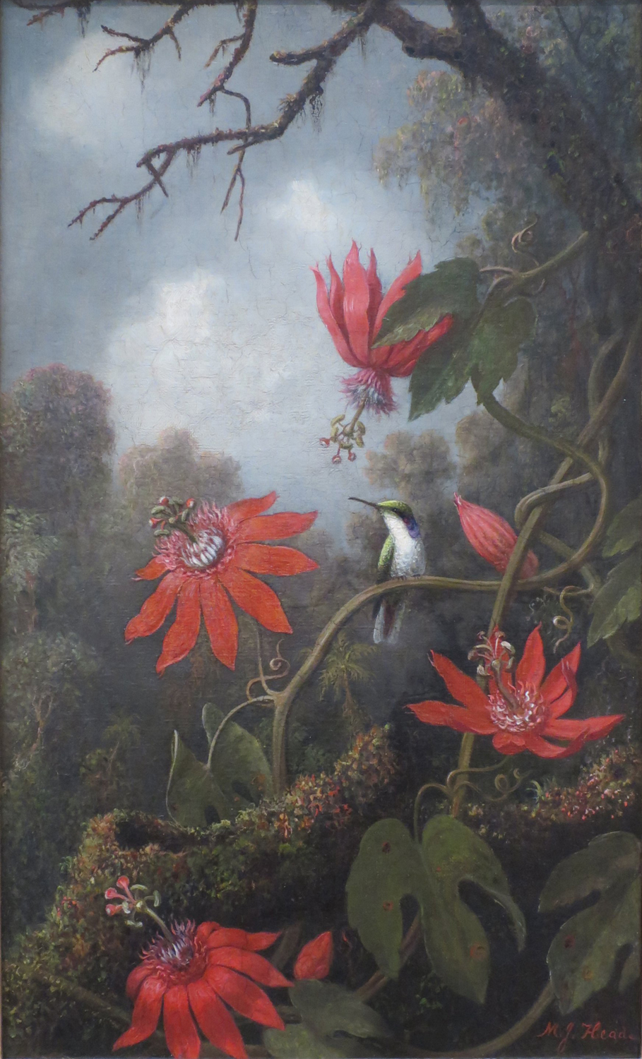 Hummingbird and a Passionflower, c. 1875-85