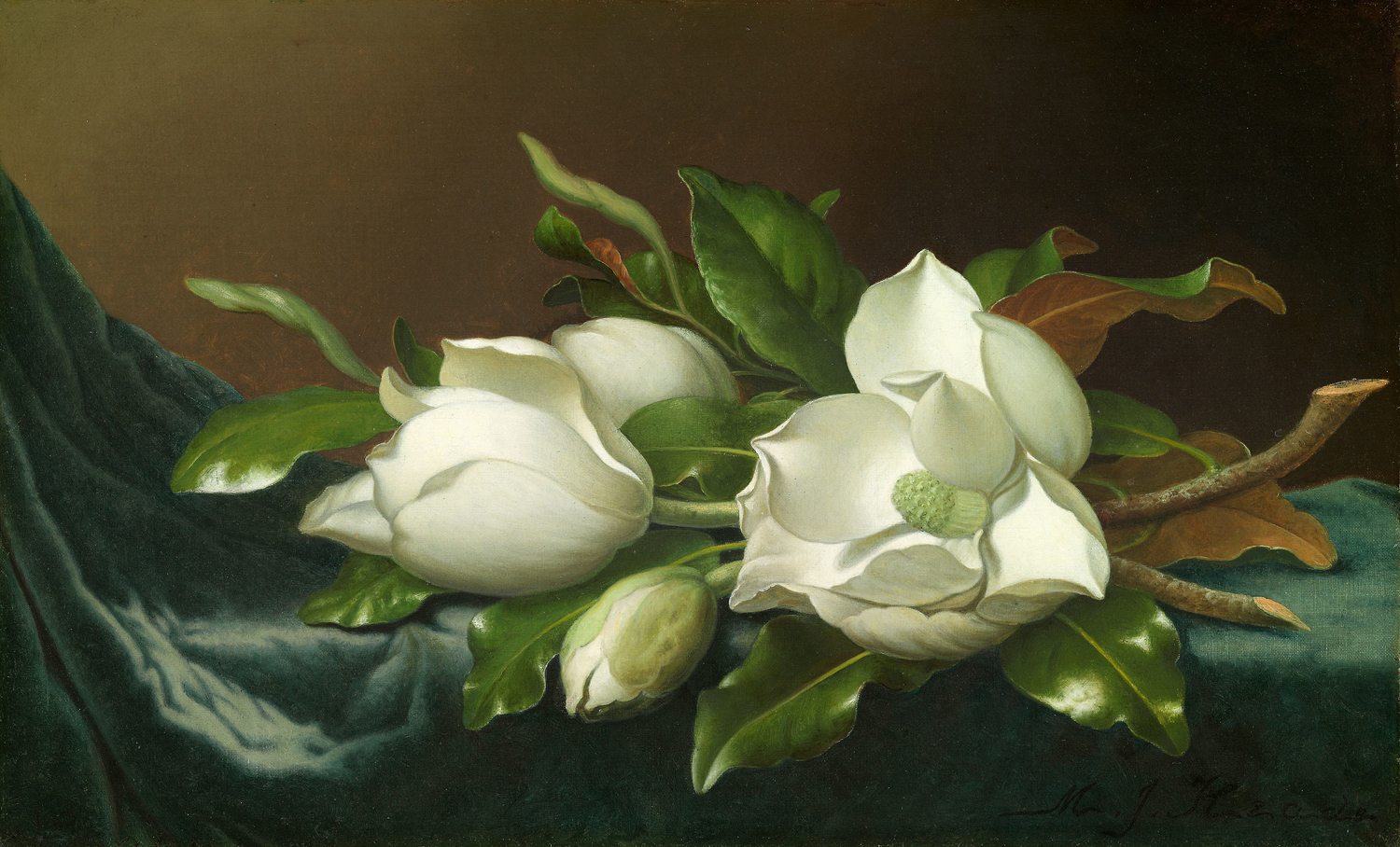 Magnolias on a Light Blue Velvet Cloth, 1880