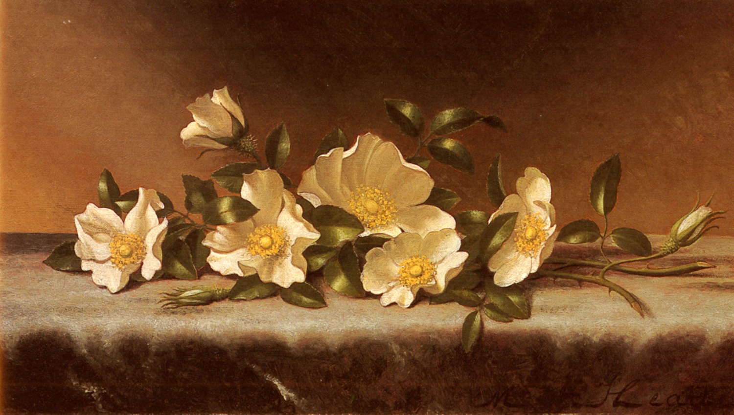 Cherokee Roses on a Light Gray Cloth, late 19th century