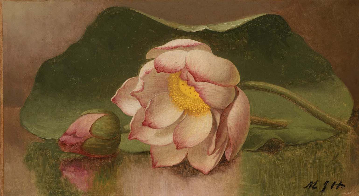 Lotus Blossom, c. 1885-90
