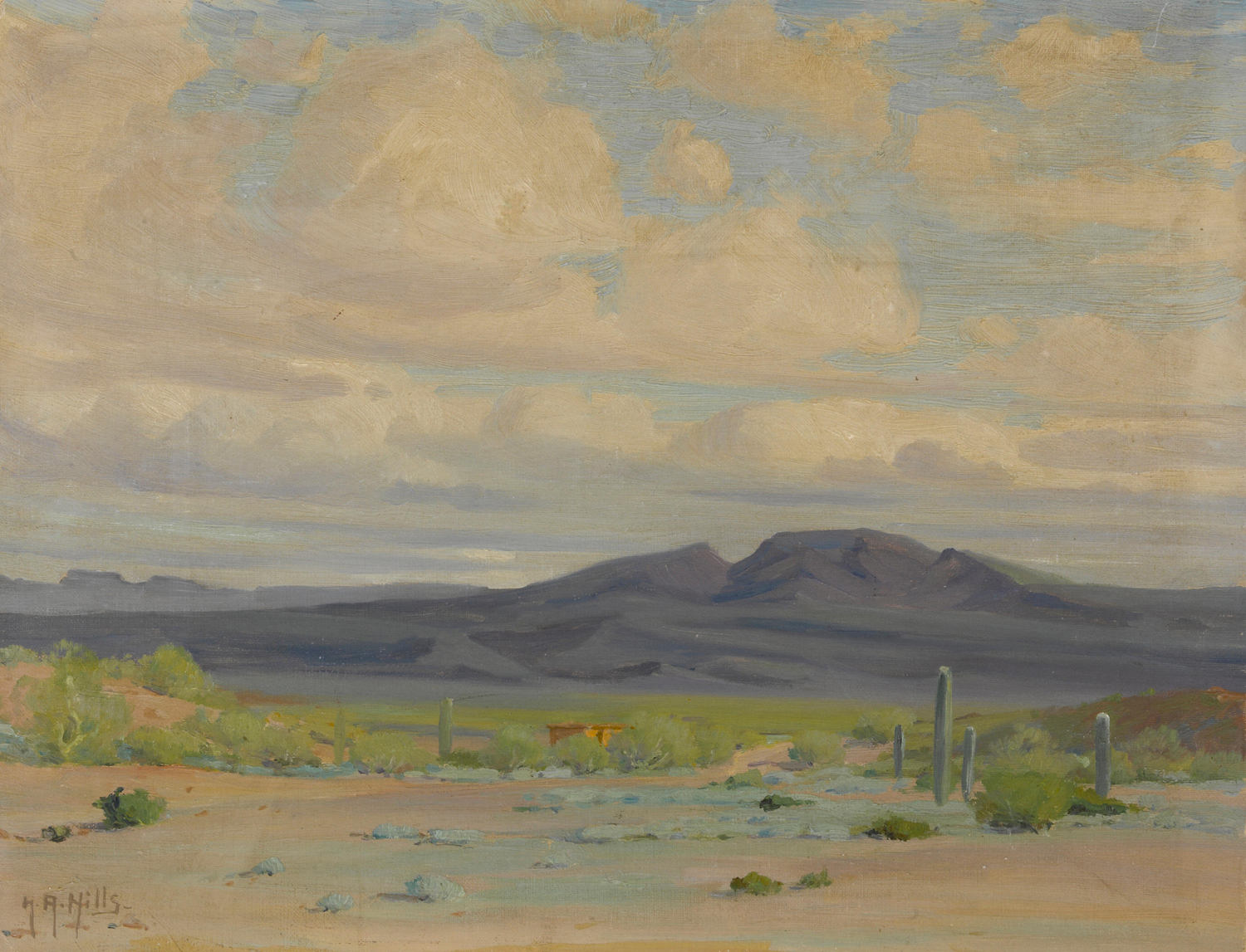 Ajo Valley, Arizona, 20th century