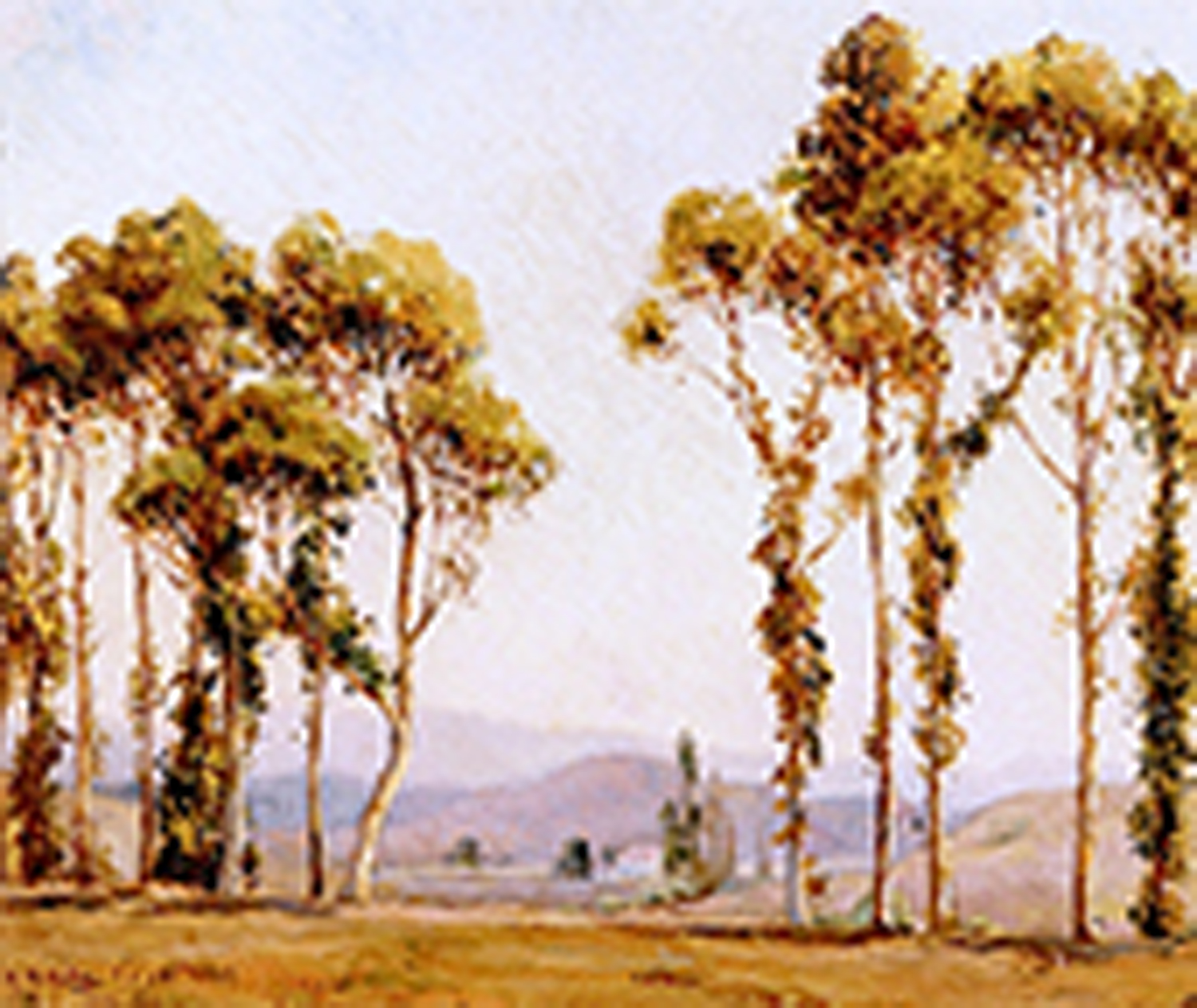Morning Light, Verdugo Road, Los Angeles, 1913