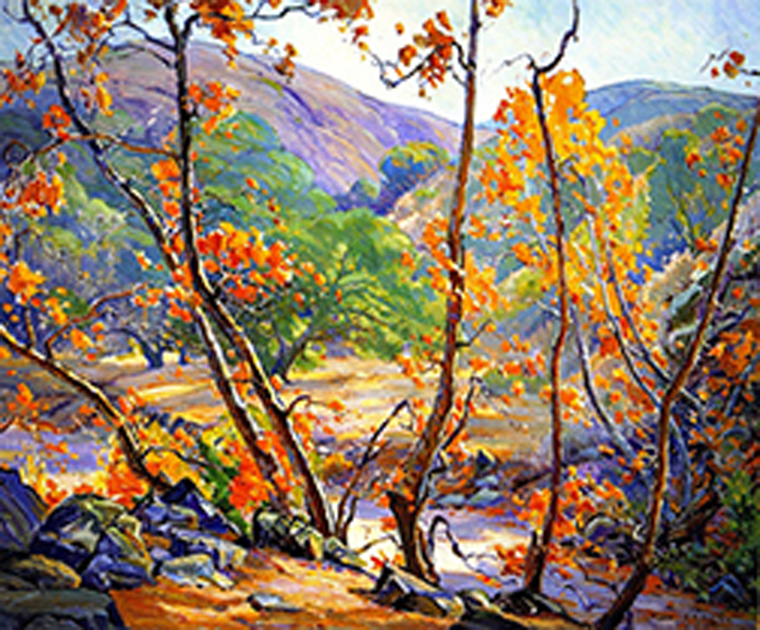 Sycamores
