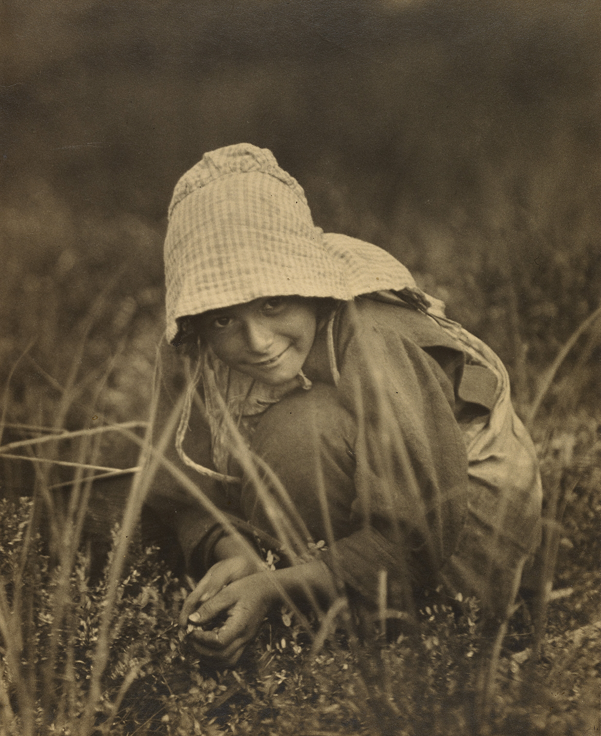 Cranberry Picker, New Jersey