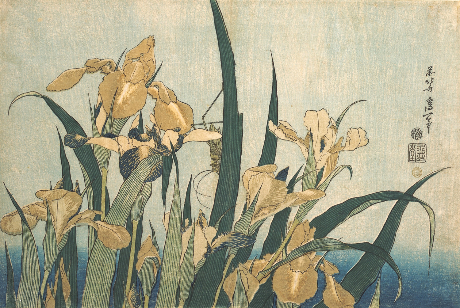 Irises, c. 1833