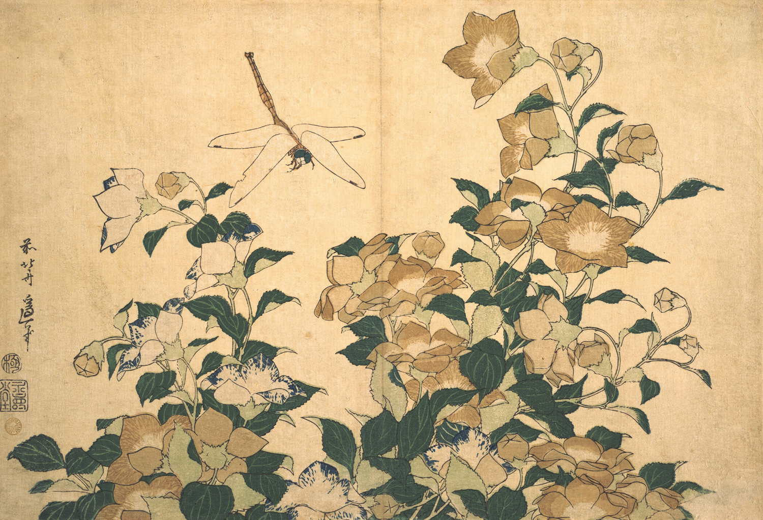 Dragonfly and Bellflower, late 1820s
