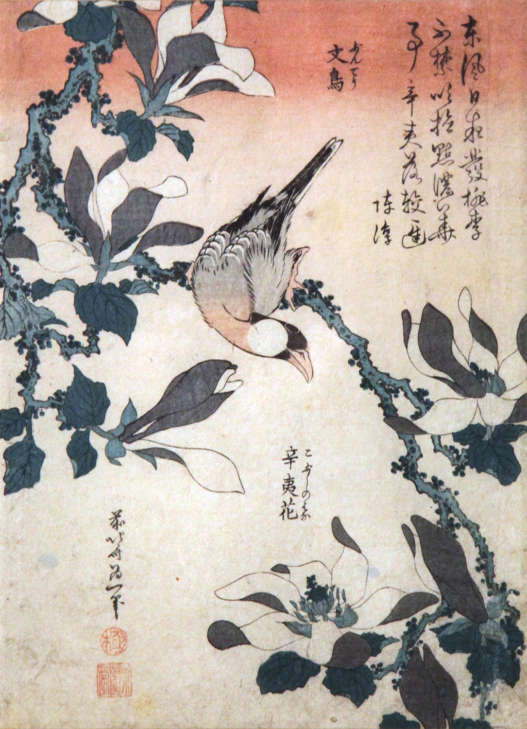 Sparrow and Magnolia, c. 1834
