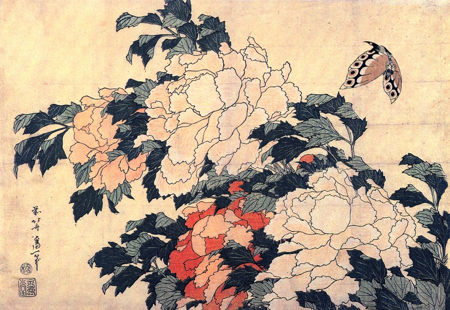 Peonies and Butterfly, c. 1834