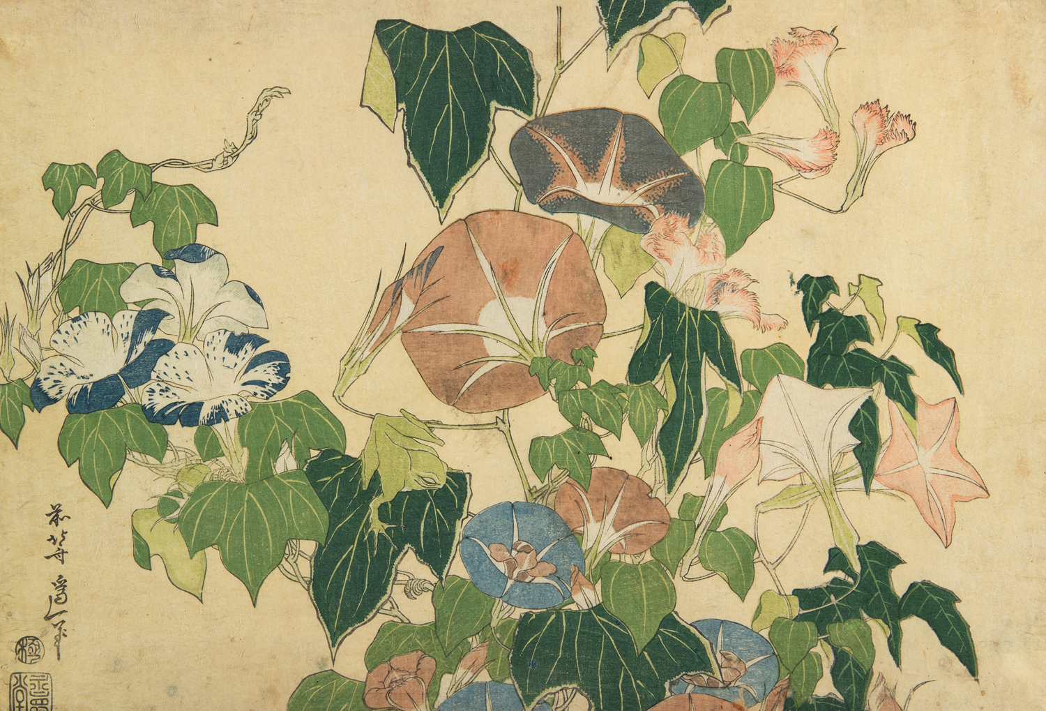 Morning Glories and Tree Frog, c. 1833-34