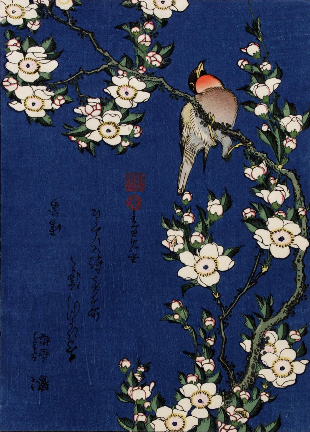 Robin on a Branch of Cherry Blossom, c. 1833-34