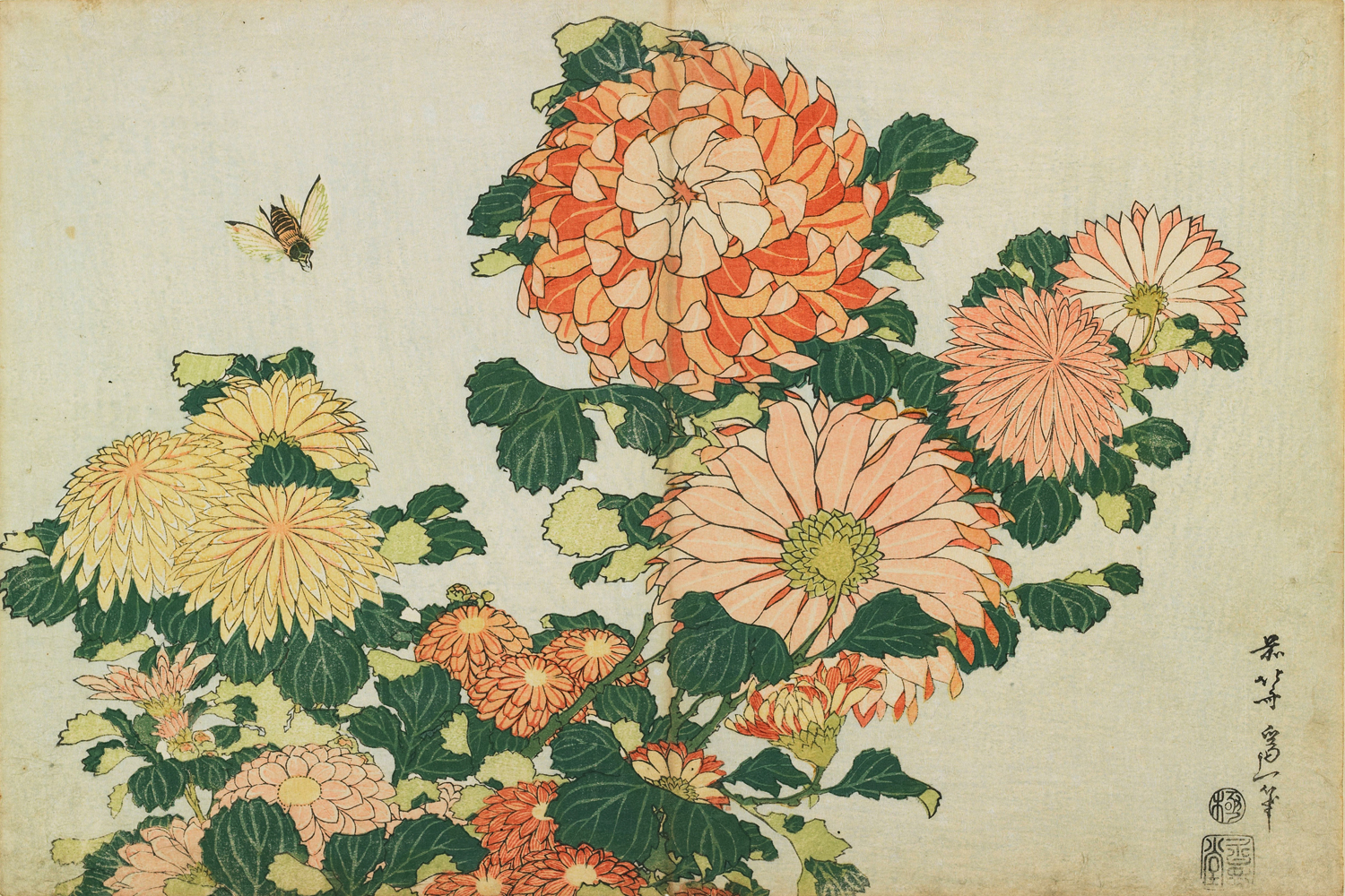 Chrysanthemums and Horsefly, c. 1833-34