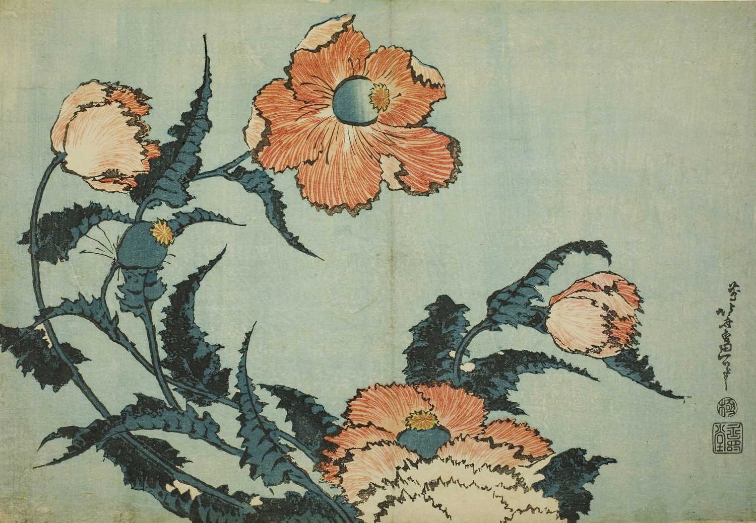 Poppies, c. 1833-34