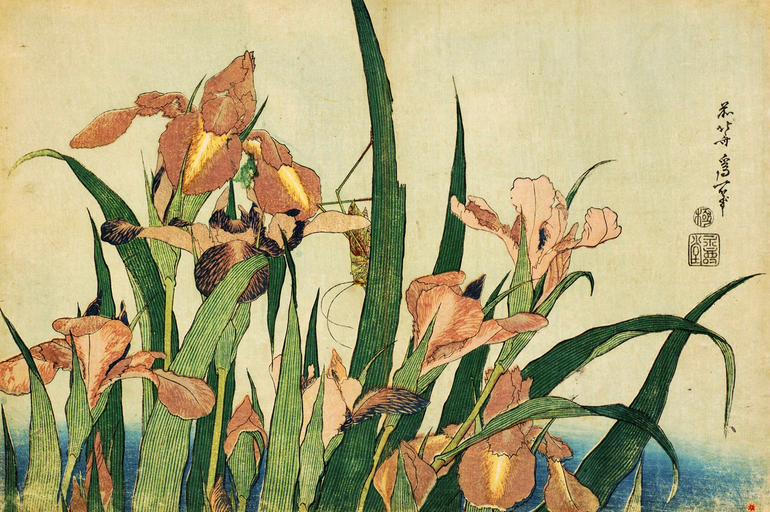 Irises and Grasshopper, c. 1833-34