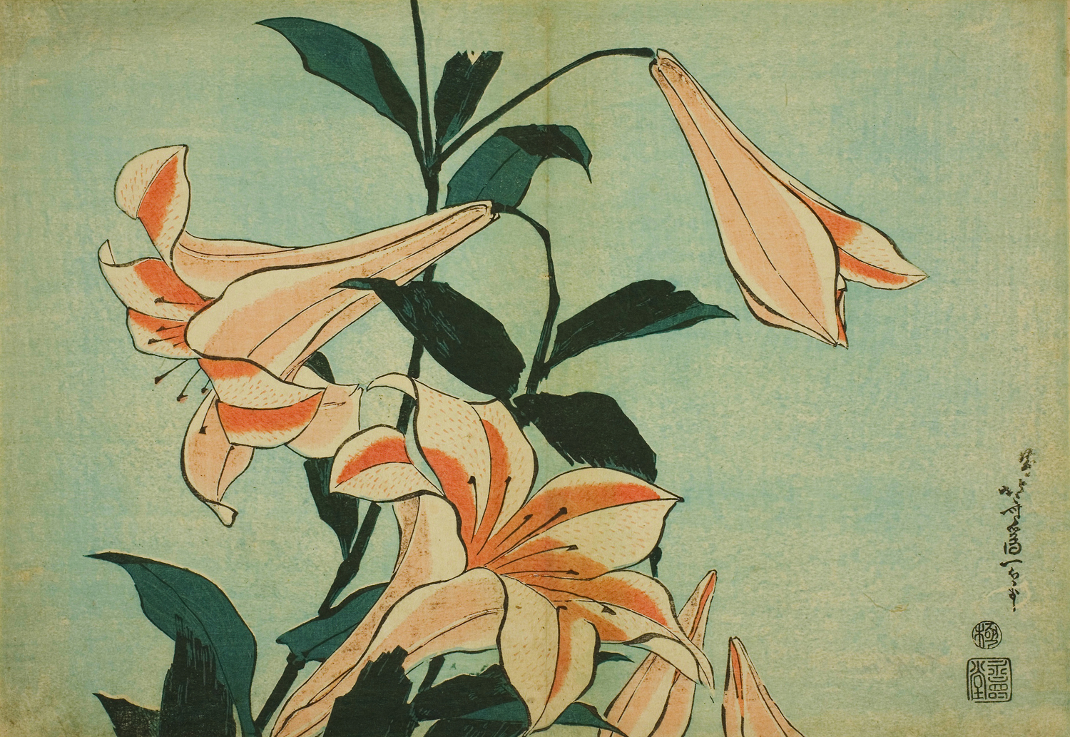 Lilies, c. 1833-34