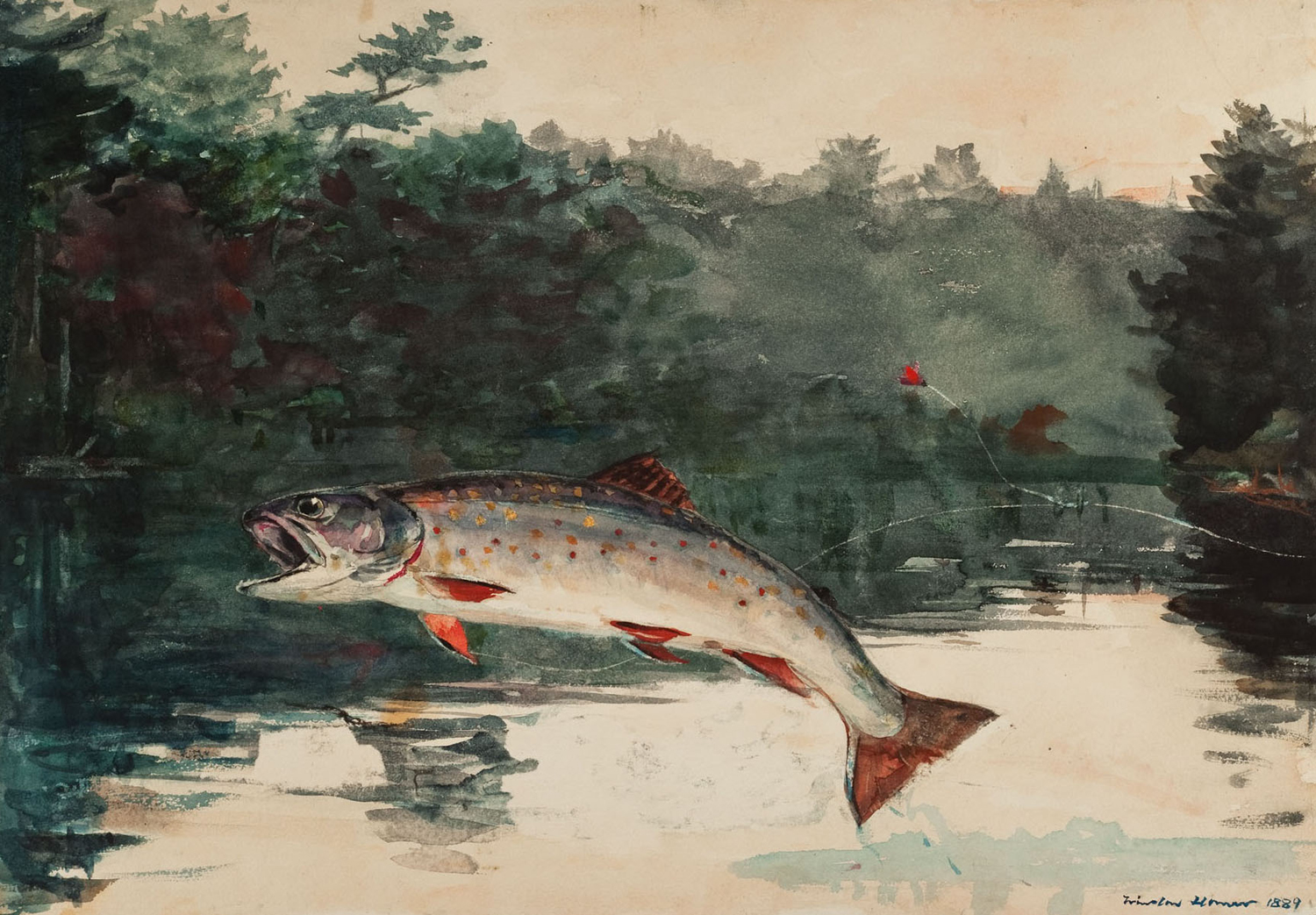 Leaping Trout, 1889