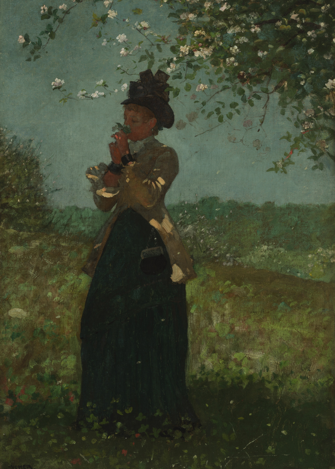 The Yellow Jacket, 1879