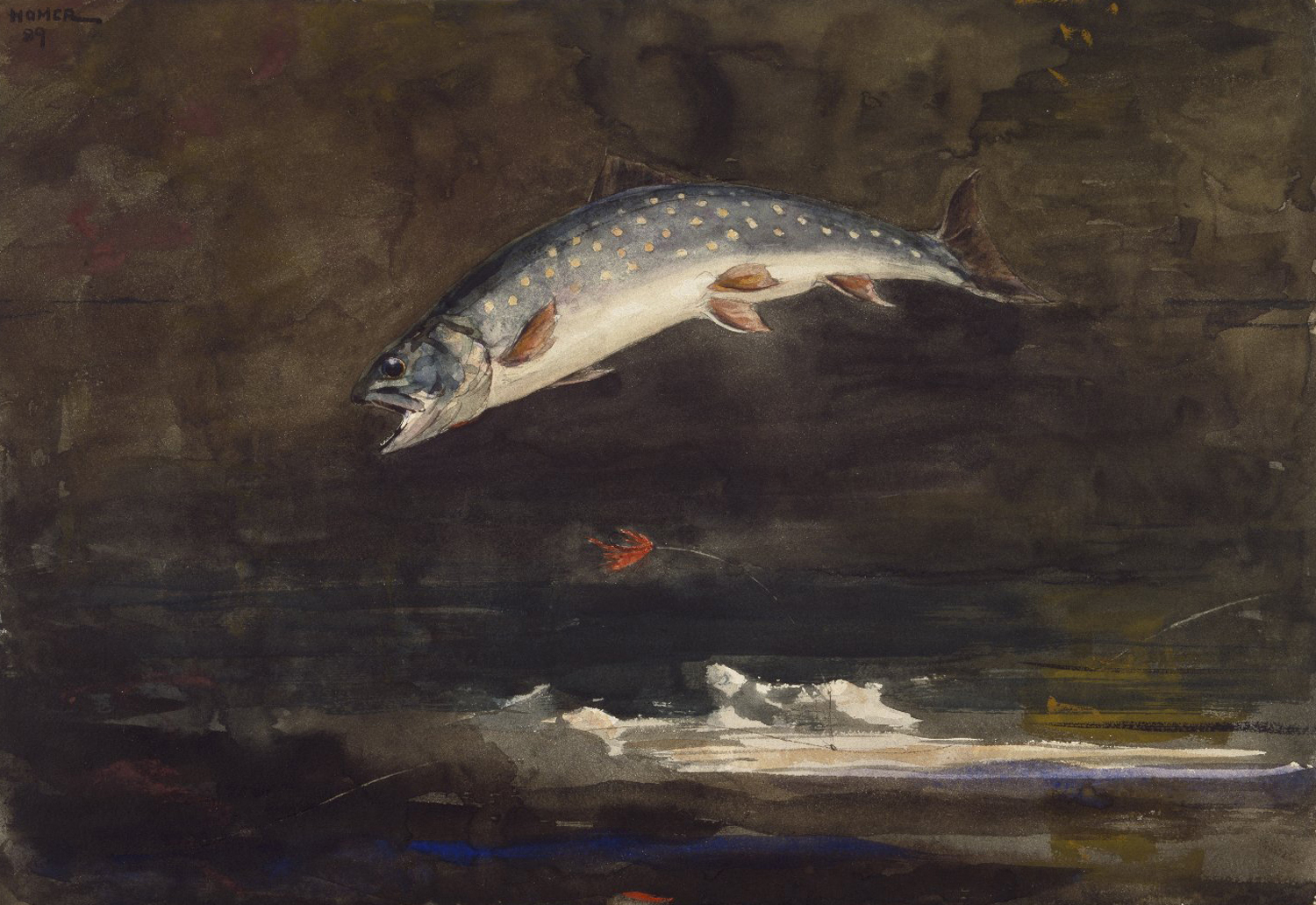 Jumping Trout, 1889