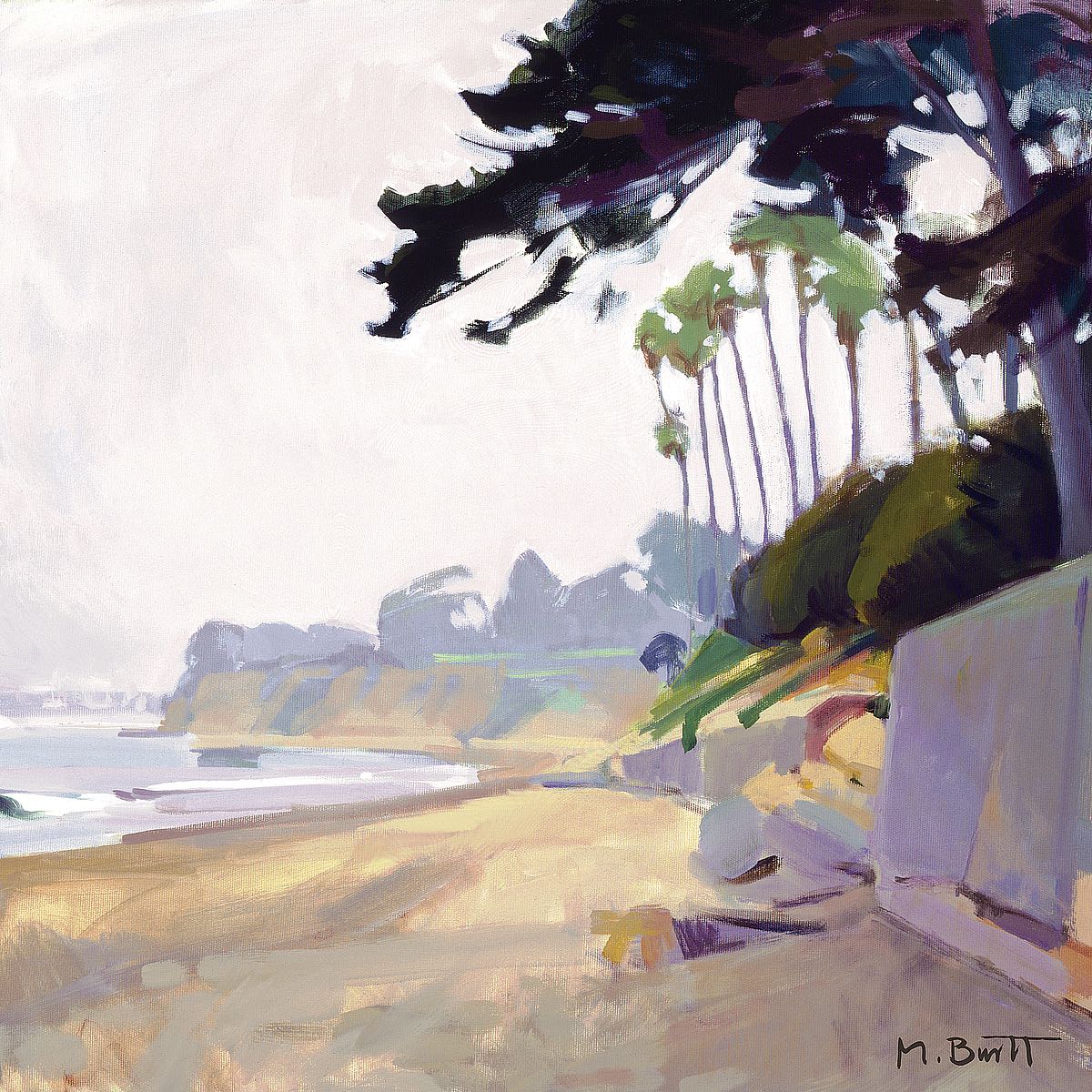 Palm & Cypress - Butterfly Beach