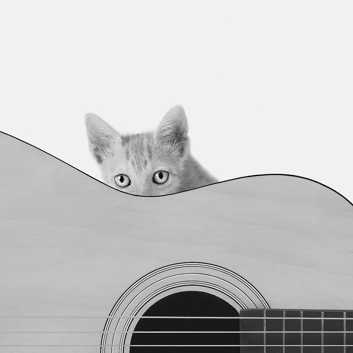 Whiskers and Strinks