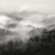 Spring Mist, Smoky Mountains