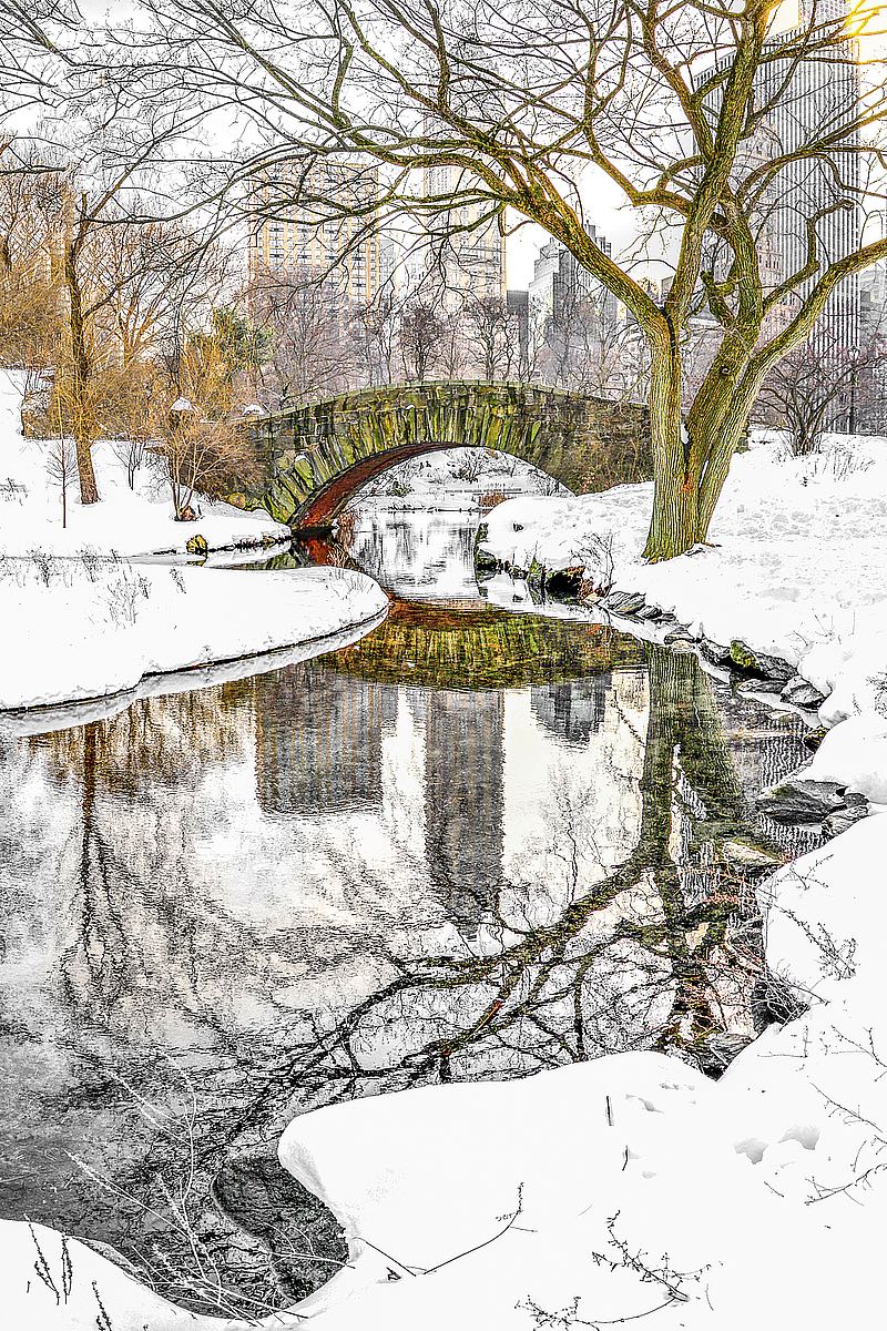 Central Park Winter No. 7