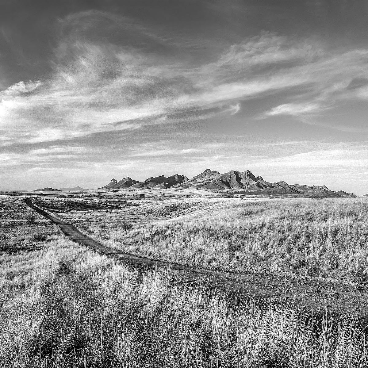 Vanishing Ranchlands No. 23