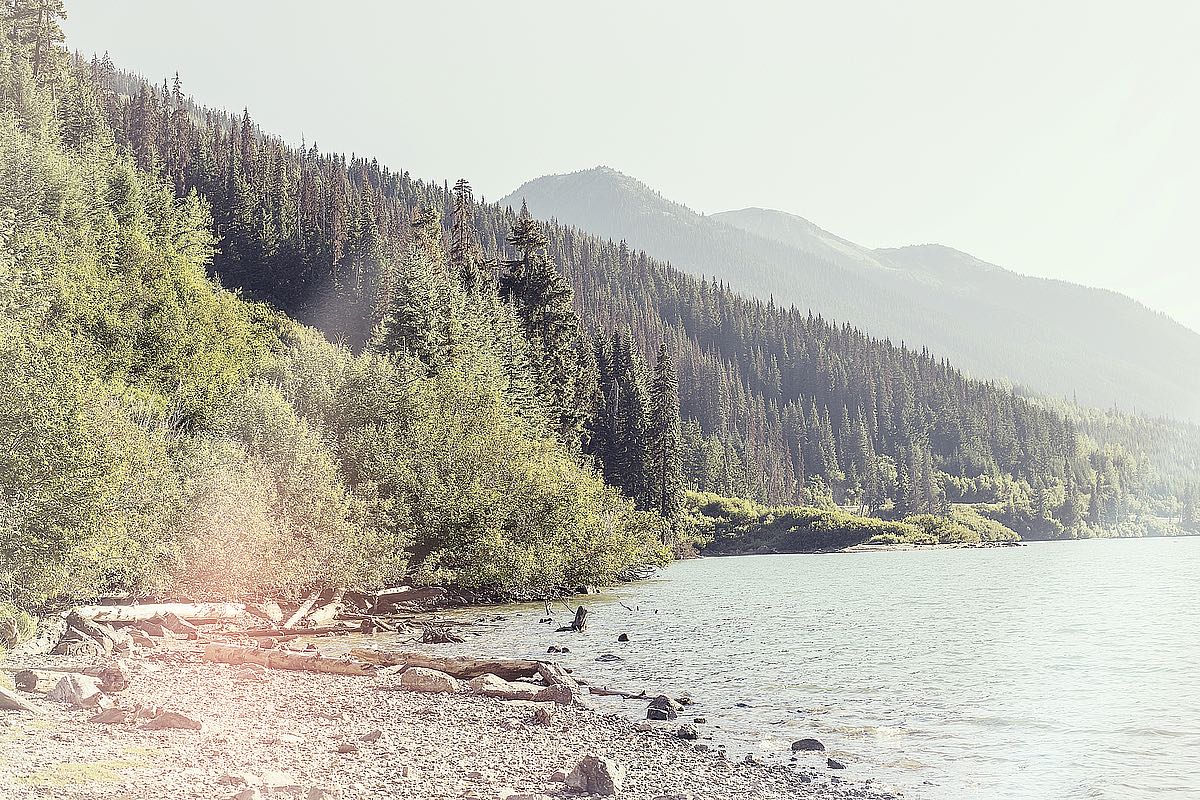 Shoreside Serenity