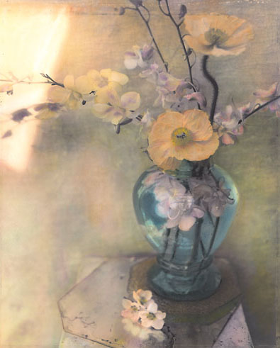 Poppies and Spring Blossoms